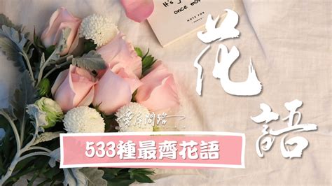 花語大全|花語實用彙整｜533種｜特別、愛情、悲傷、憂鬱、勇 